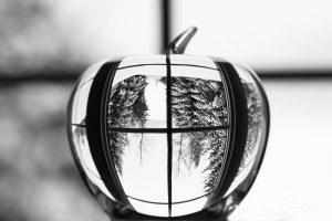 L'hiver est dans la pomme